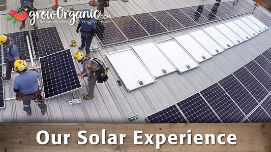Workers installing solar panels on a roof