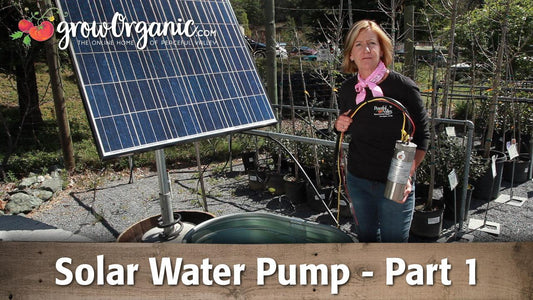 Solar Water Pump - Part 1 Product Information - Grow Organic