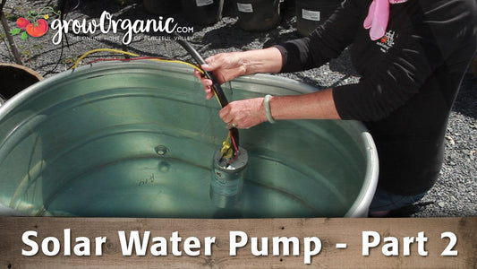 Hands assembling a solar water pump in a green tank