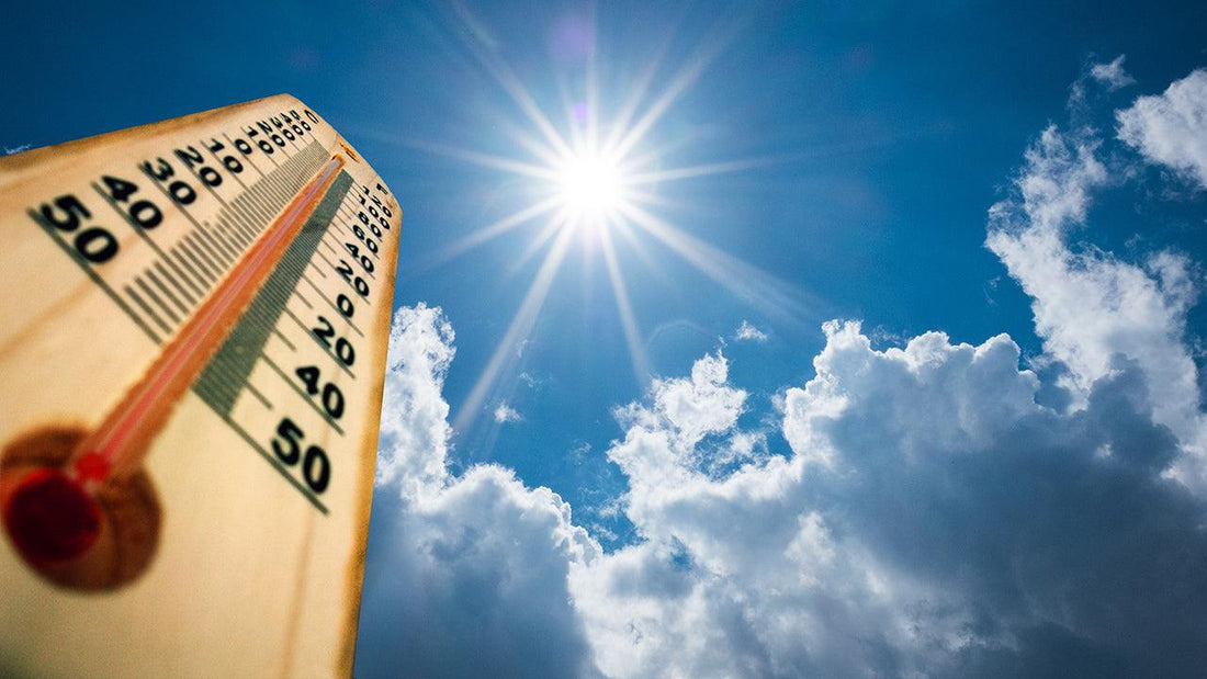 Outdoor thermometer in bright sunlight beneath a blue sky