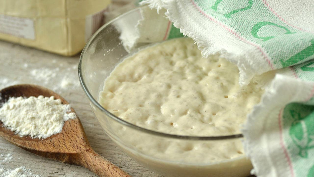 Bowl of sourdough starter beside flour and a sack