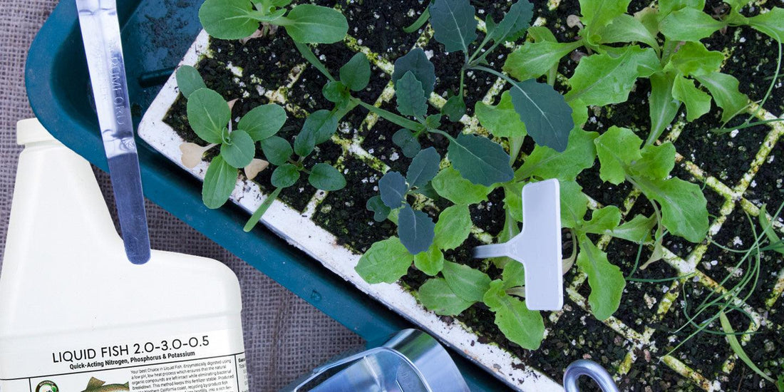 Step By Step Guide to Using our Seed Starting Calculator - Grow Organic