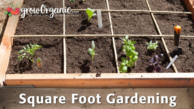Square-foot garden divided into a planting grid