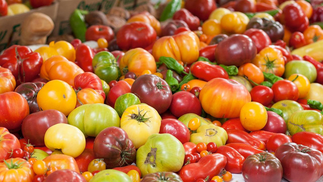 Large assortment of heirloom tomatoes