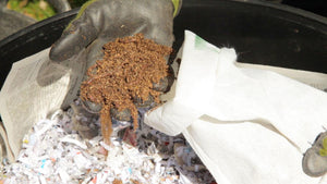 Troubleshooting Your Worm Bin