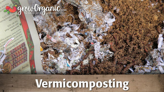 Red composting worms in decomposing bedding