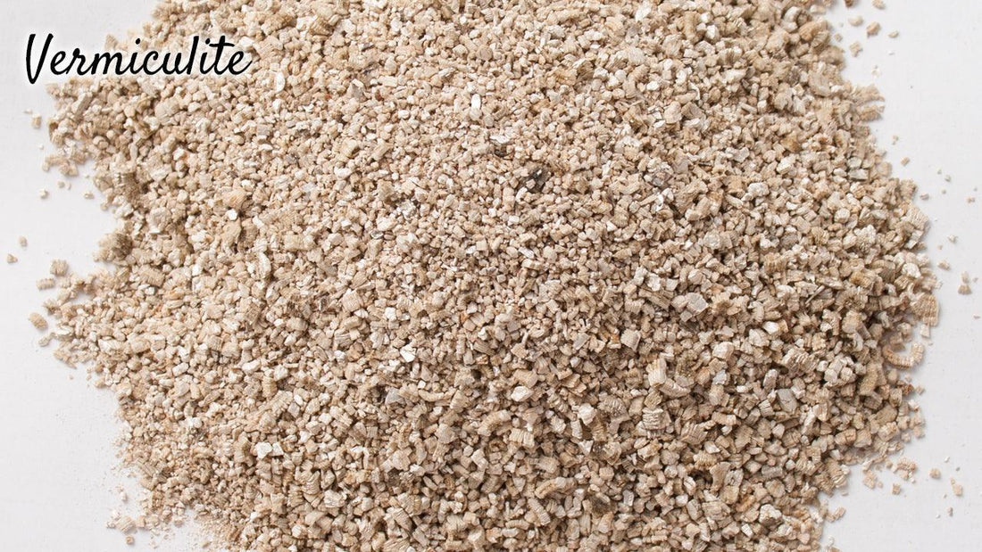 Mound of tan vermiculite
