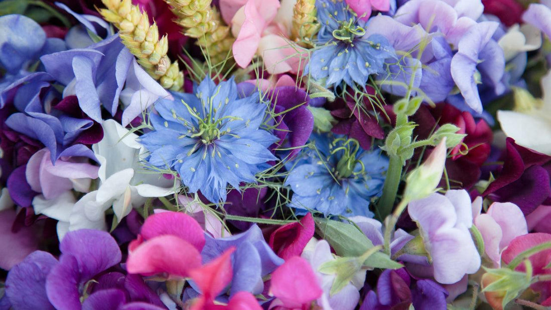 Plant a Victorian Talking Garden - Grow Organic