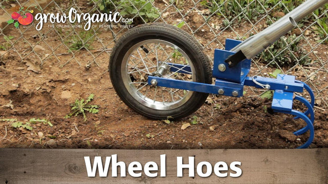 Blue wheel hoe on a garden path
