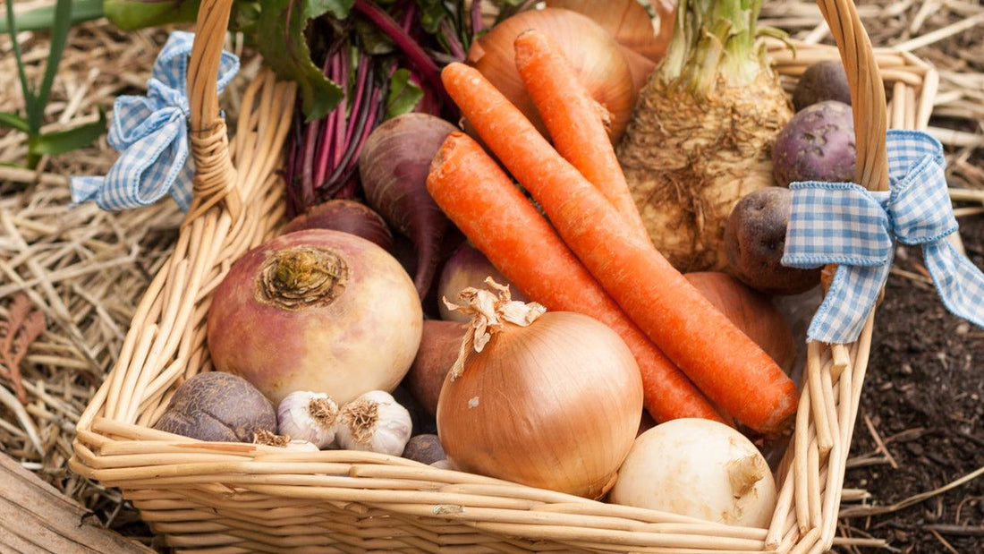 Basket of carrots, onions, potatoes, and other winter vegetables