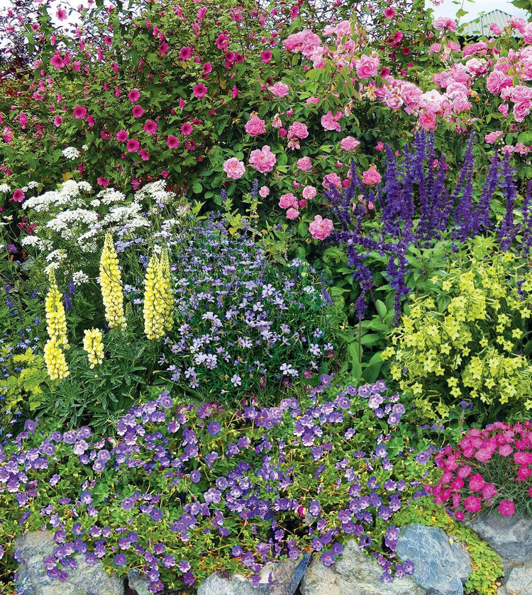 Annie's Annuals & Perennials Plant Collections
