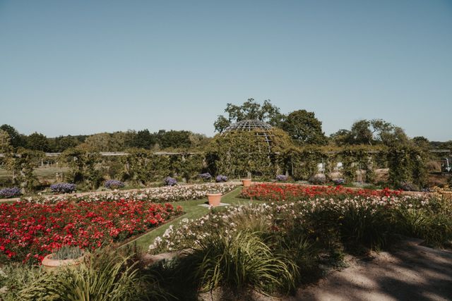 A scenic view of a colorful summer garden in full bloom under a clear blue sky