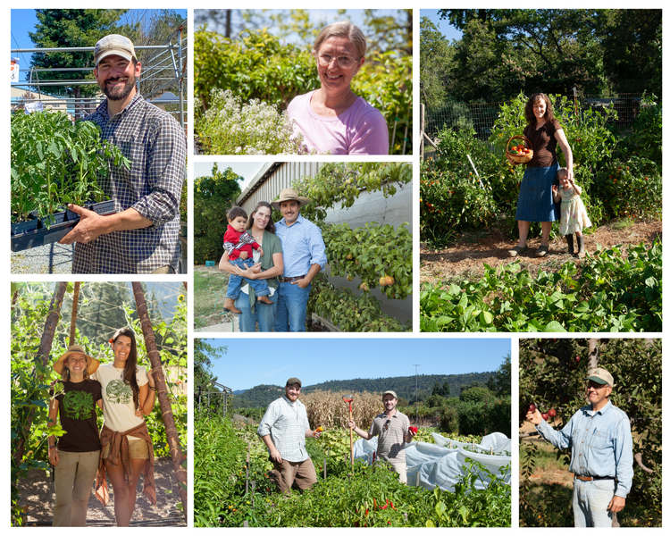 Farmer Favorites - Cover Crops and Pasture Seed