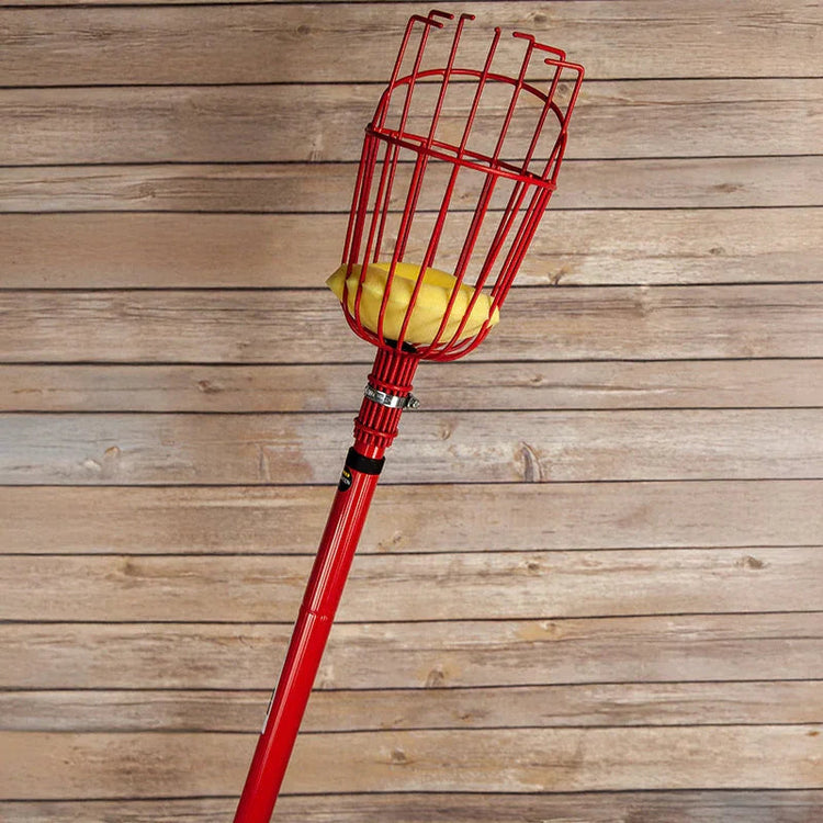 Pole fruit picker for harvesting tree fruit