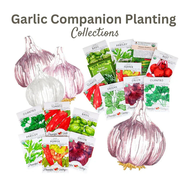 Garlic Companion Seed Collections