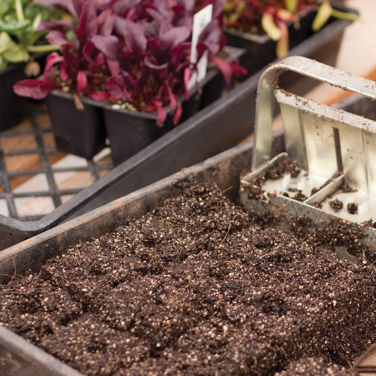 Metal soil-block maker pressed into potting soil