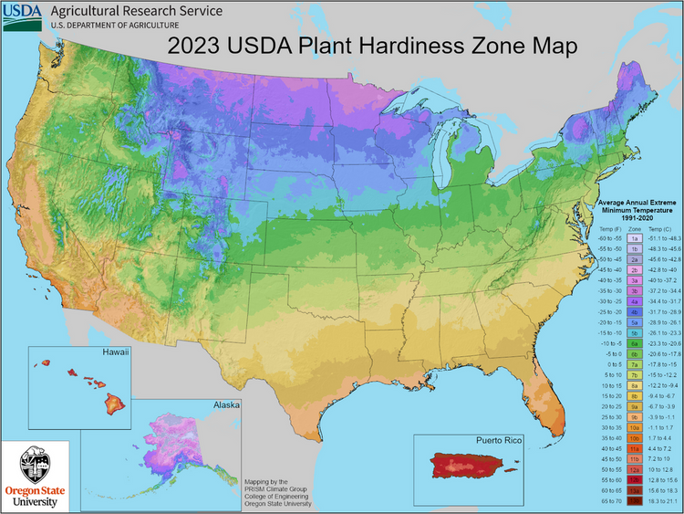 USDA Plant Hardiness Zone Map of the United States