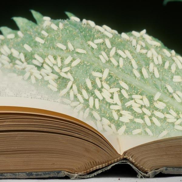 Pest Control Books - Grow Organic