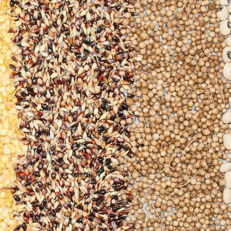 Peaceful Valley Seed Mixes - Grow Organic