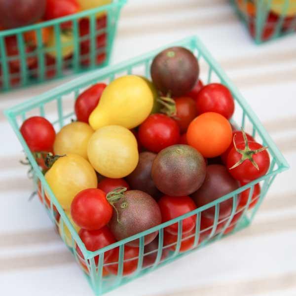 Cherry Tomato Seeds - Grow Organic