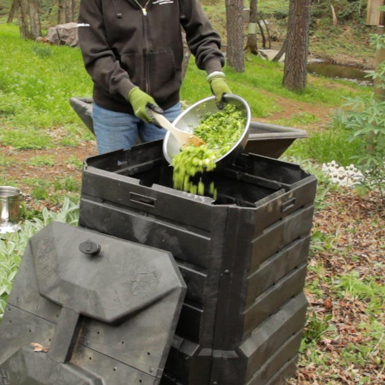 Person adding plant material to a wooden compost bin