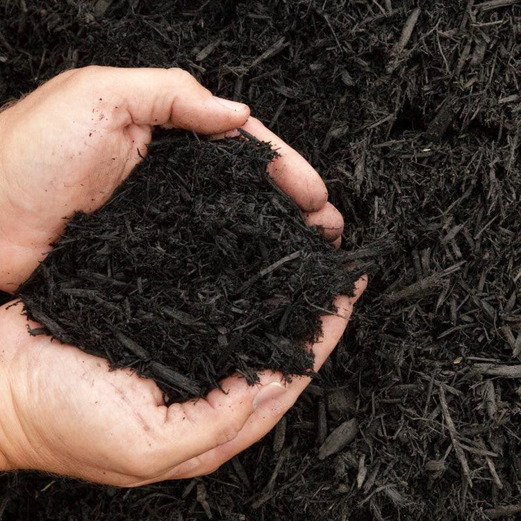Hands holding a mound of dark compost