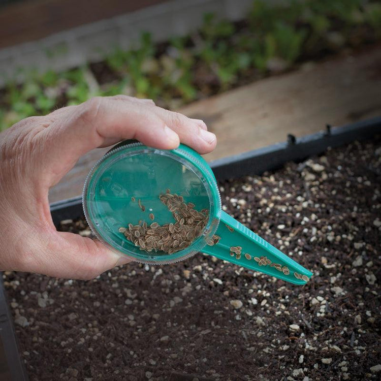Hand scattering seeds with a green handheld seeder