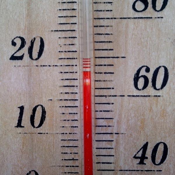 Garden Thermometers - Grow Organic