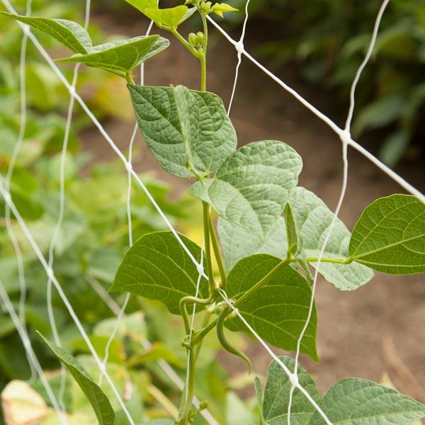 Hortonova & Jute Trellis - Grow Organic