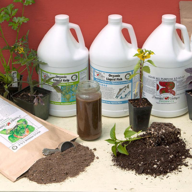 Natural fertilizers arranged with seedlings and soil