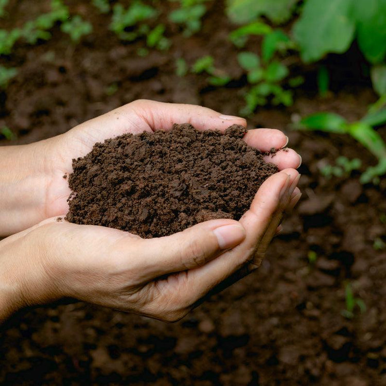 Soil Amendments & Testing - Grow Organic