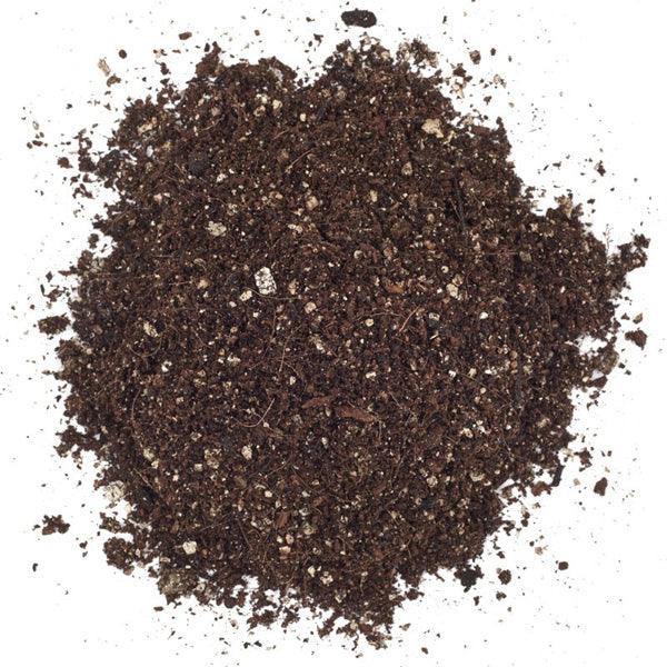 Mound of dark soilless potting mix