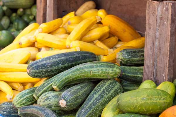 Pile of yellow and green summer squash