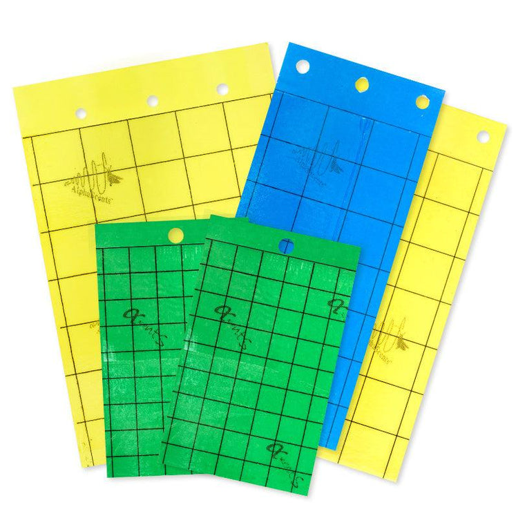 Sticky Traps - Grow Organic