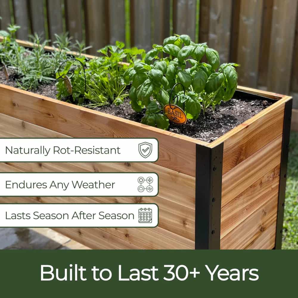 18″ x 24″ Deep Root Raised Garden Bed - 30″ TALL / Select Grade Cedar Planters
