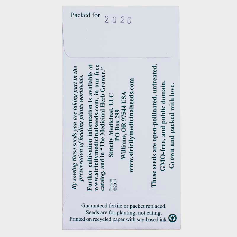 Hidcote Lavender Seeds (Organic) Strictly Medicinal