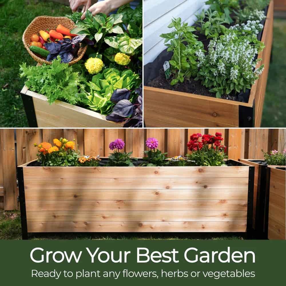 18" x 72" Planter Box - 24" TALL / Select Grade Cedar Planters