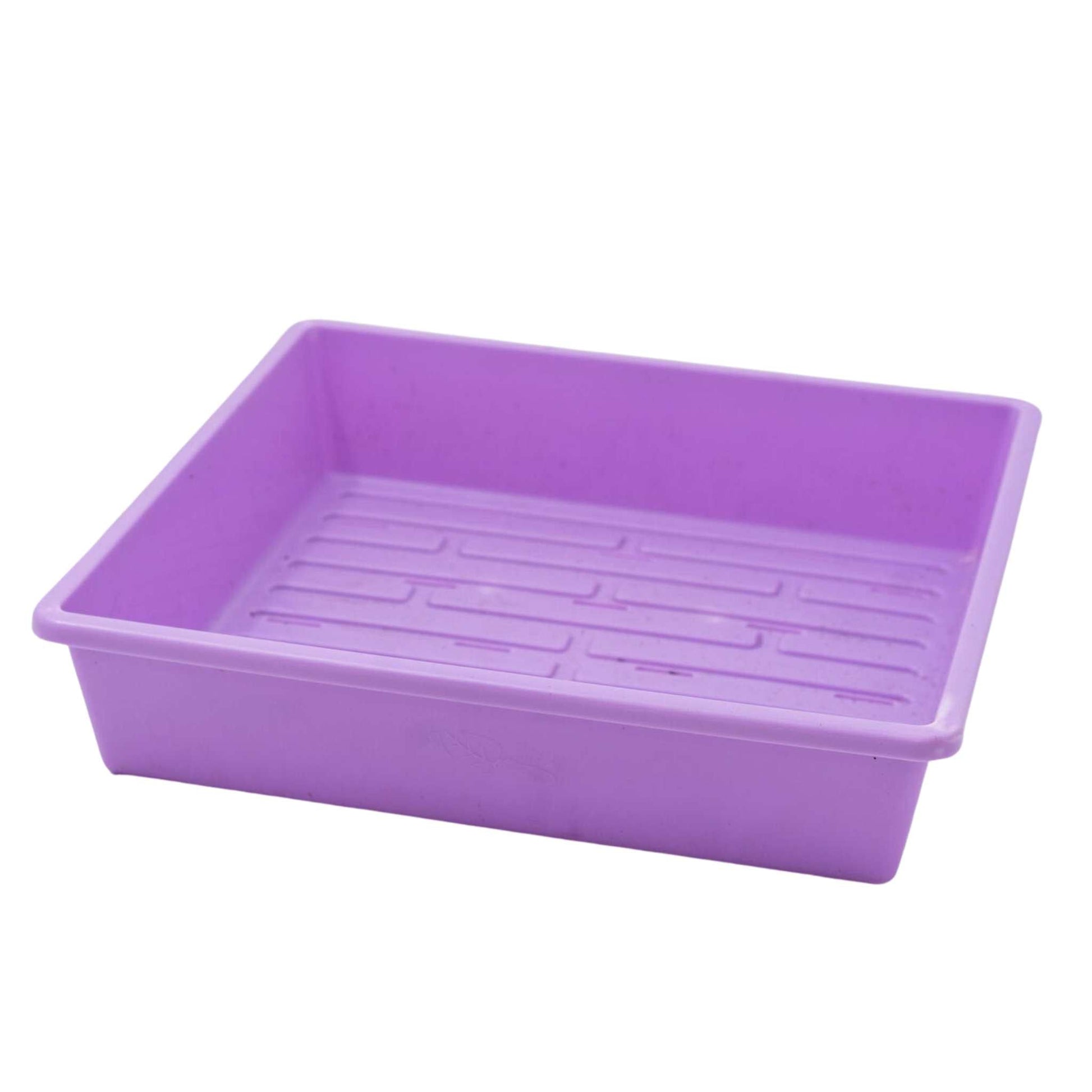 1010 Trays 2.5" Deep - Extra Strength 1 Tray / Purple / With Hole Bootstrap Farmer