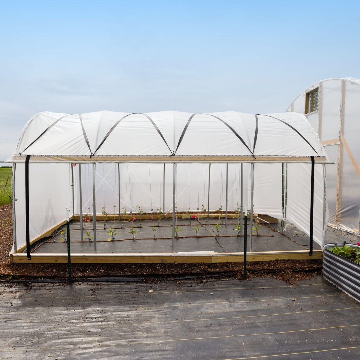 10' Essential High Tunnel Kit - Roll-up Sides and End Wall Door Kit Included Bootstrap Farmer