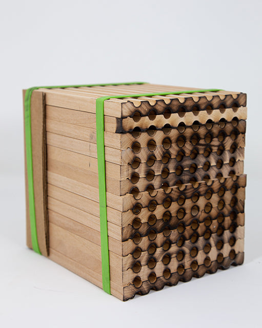 Spring Reusable Wood Trays for Mason Bees - 8mm
