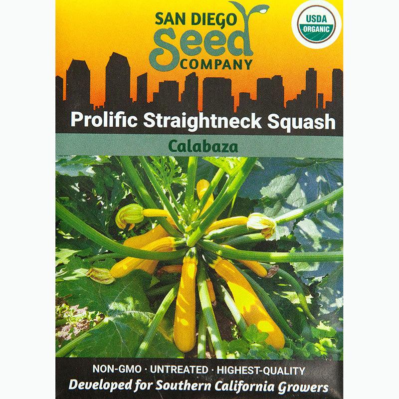 Prolific Yellow Straightneck Summer Squash Seeds (Organic) San Diego Seed Company