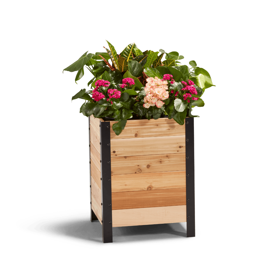 18″ x 18″ Planter Box - 24" TALL / Select Grade Cedar Planters