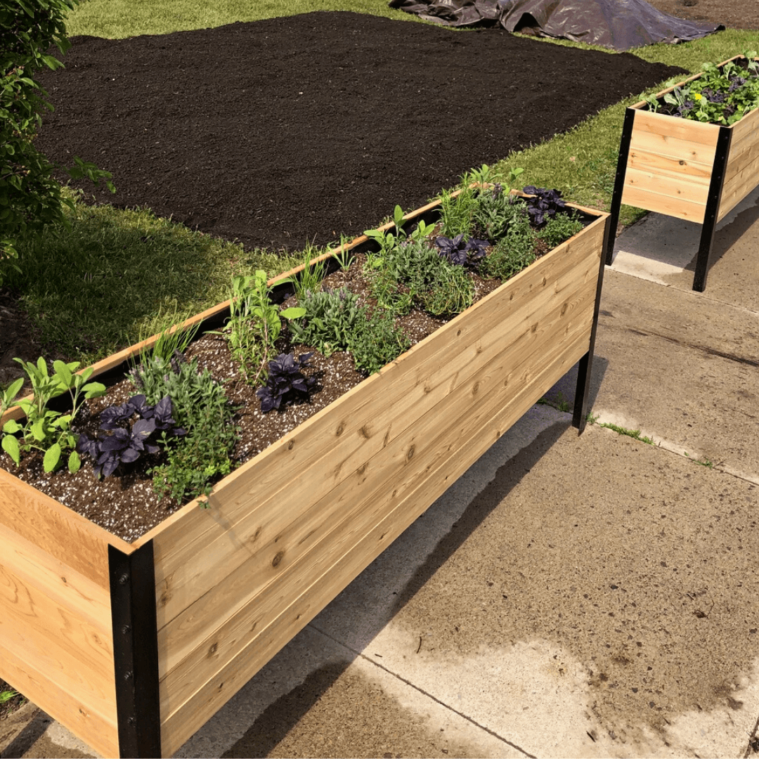 18" x 72" Raised Garden Bed