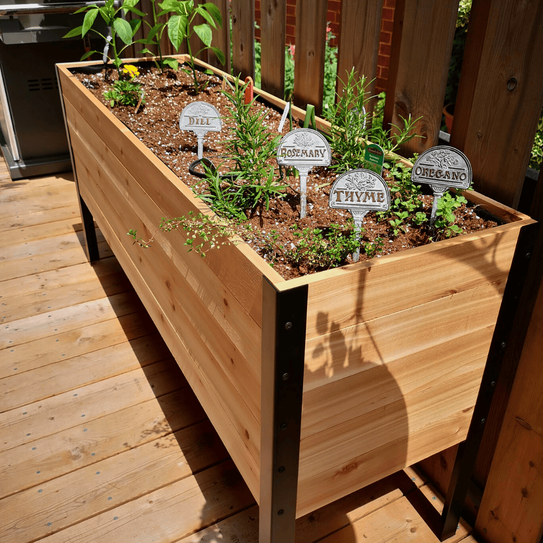 18″ x 60″ Deep Root Raised Garden Bed - 30″ TALL / Select Grade Cedar Planters