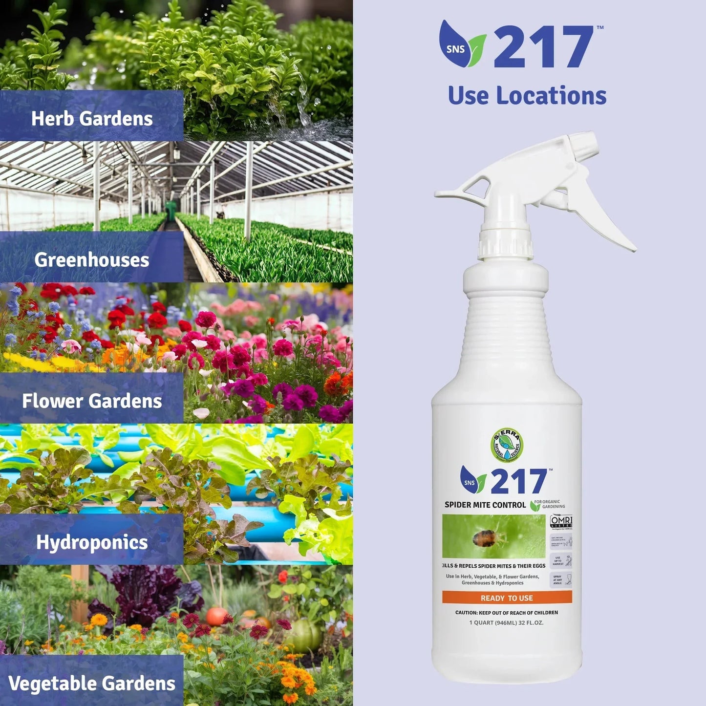 organic spider plant Organic Spider Mite Control RTU 32 oz – Grow Organic