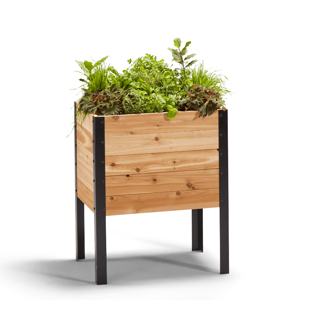 18″ x 24″ Deep Root Raised Garden Bed - 30″ TALL / Select Grade Cedar Planters