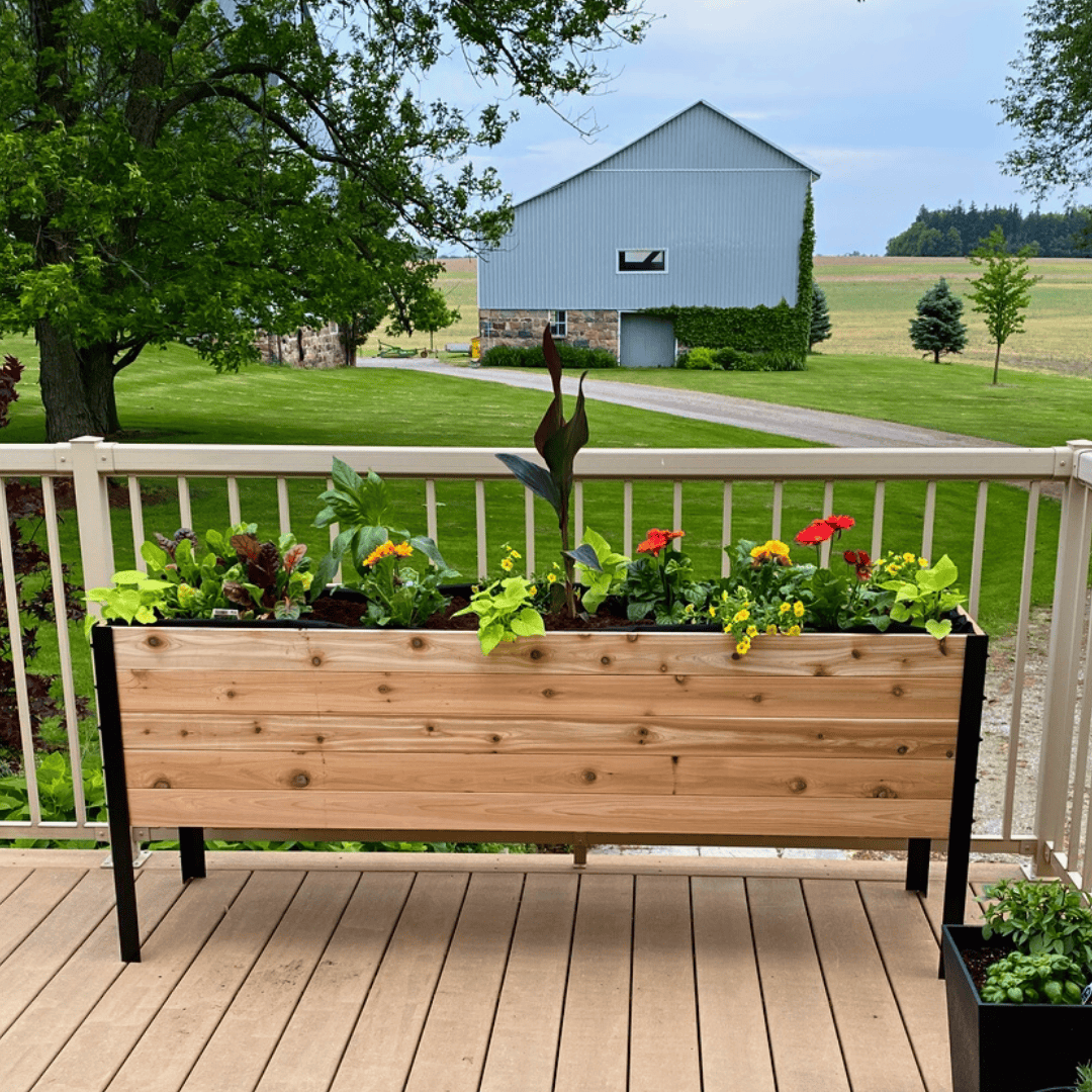 18″ x 72″ Deep Root Raised Garden Bed - 30″ TALL / Select Grade Cedar Planters