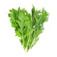 Early Mizuna Mustard Seeds (Organic) Southern Exposure Seed Exchange