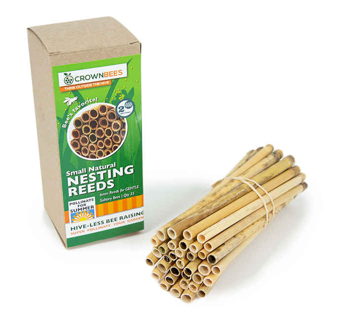Summer Natural Reeds for Leafcutter Bees - 6mm