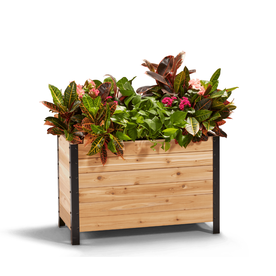 18" x 36" Planter Box - 24" TALL / Select Grade Cedar Planters